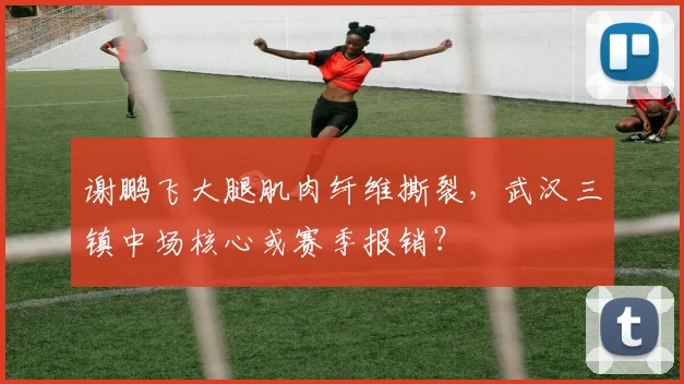 谢鹏飞大腿肌肉纤维撕裂,武汉三镇中场核心或赛季报销?